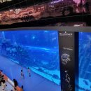 두바이(DUBAI)