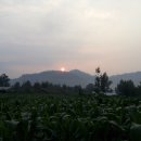 일출환경 브런치