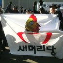 머리당