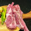 종로-연건-종로-연-230 | 서울 모임식당 장소로 추천하는 강남역 맛집, 분위기 좋은 양고기 소고기 브랜드 : 육랩 강남본점 솔직후기