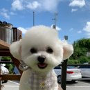 아가삐 이미지