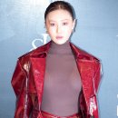 화사 이미지