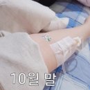 스압) 100kg 병약돼지에서 69.9kg 건강돼지로의 여정 이미지