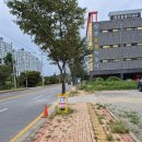 정촌유황사우나 이미지