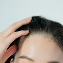 오블리제성형외과의원 이미지