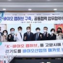 고양허브