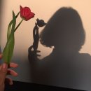 오케이케어 | 🌱 테슬라 모델Y 주니퍼 신차패키지｜루마 버텍스 900 썬팅 + 풀케어 시공 후기