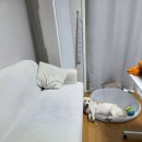 푸름이네