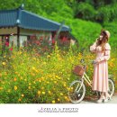 영화5길 이미지