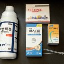 철규농장 이미지