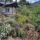 김천한솔펜션 이미지