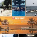 더데이관광호텔 네이버블로그