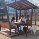 행신4동 행정복지센터 이미지