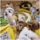 엄마 잘 다녀와 이미지