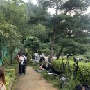 달마사 | 서울 불꽃 축제 숨겨진 명당으로 유명한 달마사 후기