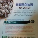 할렐루야 농장 이미지