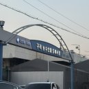 오정농수산물시장 수산동 | 구리농수산물도매시장 수산동 수산물 활어회 구입 후기