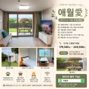 애월애 | 제주 애월 숙소 독채 펜션 애월애 6인 숙박 후기