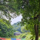 소노벨 경주 이미지