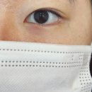 분당속눈썹 잘하는 곳 야탑역 속눈썸펌 연장 래쉬무아르 단백질 케어링펌 솔직후기