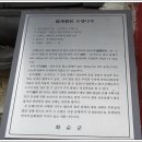 능주향교 은행나무 이미지