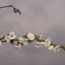바람섬 이미지