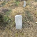 개발장묘