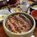 논현덮밥