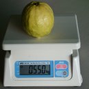 경원농장 이미지