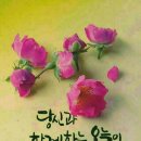 논산바다 이미지