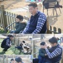 애니멀즈 이미지