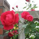 덕호농장 이미지