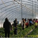 가남정보화마을 이미지