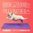 다올필라테스 - 해운대구 세실로 45 | 다올필라테스