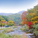 방화동가족휴가촌 가족휴양동 이미지