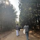 행복이열리는둘리약국 | 차사고 나고 안돌 오름에서 길 잃은 남셋여넷 제주도 여행기 2편