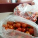 희자농장 이미지