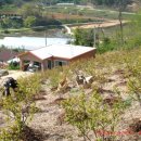 성북2리 이미지