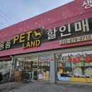 원미구 도약로 239 이미지