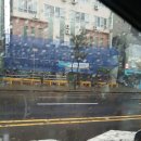 노형 꿈 동물병원 이미지