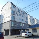 새꽃로(1) 이미지