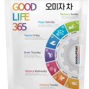 365라이프