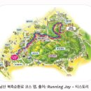 신반포로(북측) 네이버블로그