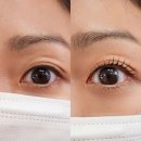 노원역 속눈썹 펌 잘하는 곳 유지력 좋은 곳 추천 베스타뷰티