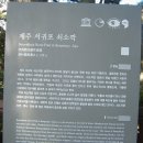 서귀포쇠소깍과함덕대명리조트 이미지