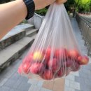 공차신방화역점 | 9월 넷째주를 맞이하며_ 소풍가는날 마곡점, 공차 초코바른, 푸라닭 신방화역점, 고망고 마곡점
