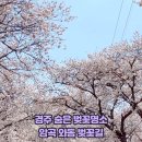 암곡와동경로당 이미지