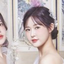 레고핏 이미지