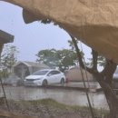 백미리 희망캠핑장 이미지