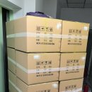 미국 반려동물용품 수출 후기｜한국 수출상사와 함께 진행한 반려견 식기 수출 프로젝트